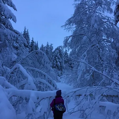 - Nordmarka
